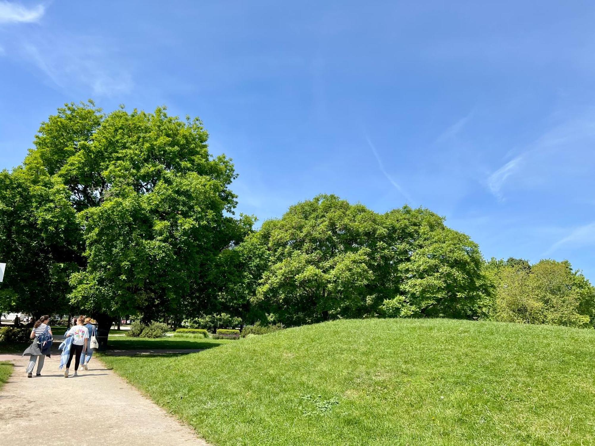 Park